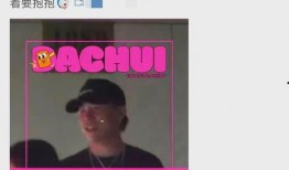 刘大锤爆料真的吗视频,刘大锤爆料视频真实性揭秘