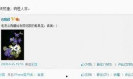 网上娱乐圈爆料都是假的,真相与谣言的交织