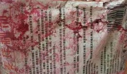 爆料舞帝二哈视频,笑料百出，网友直呼“太欢乐”