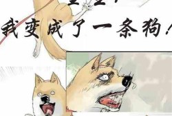 吃瓜整蛊小说免费阅读全文,笑料百出，揭秘娱乐圈幕后风云