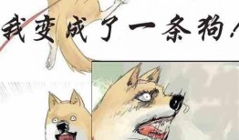 吃瓜整蛊小说免费阅读全文,笑料百出，揭秘娱乐圈幕后风云