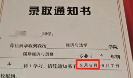 录取通知 在线观看