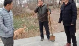 辛店镇吃瓜最新事件爆料,揭秘背后惊人真相