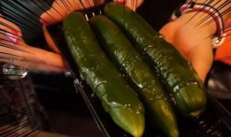 网红吃的小圆瓜是哪种,揭秘网络热传的神秘美食