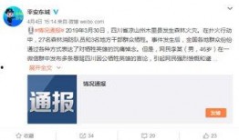 新闻爆料有收入吗现在,揭秘网络爆料背后的经济利益