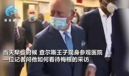 王室回应梅根爆料视频,真相与澄清