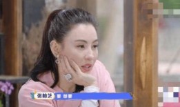 张柏芝爆料孙东海视频,真相曝光引热议