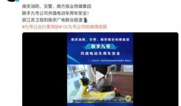 九号最新电池爆料,揭秘最新爆料背后的技术革新与性能突破”