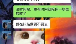 胖猫最新爆料视频,揭秘娱乐圈惊人内幕！