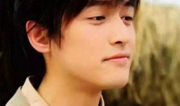 女演员爆料胡歌视频,背后真相揭秘