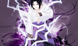 在哪看佐助爆料视频,揭秘忍者世界的秘密与真相