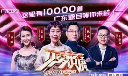 二辰爆料兄弟视频播放,视频播放背后的精彩故事