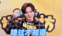 娱乐圈博君一肖爆料,娱乐圈甜蜜互动背后的秘密大揭秘