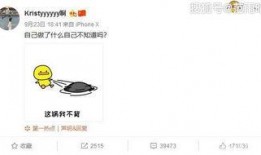 娱乐圈谁被录音爆料,揭秘明星隐私风暴