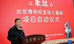 故宫院长爆料新闻视频播放,新闻视频背后的故事与幕后花絮