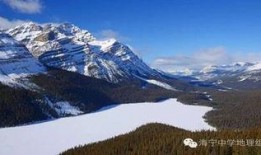 冰川玫瑰爆料视频大全,视频大全揭秘幕后真相