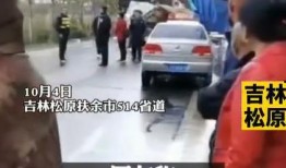 吉林爆料小伙事件视频,真相与争议交织的舆论漩涡