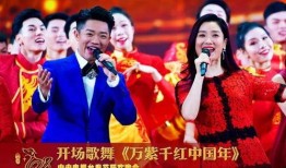 春晚演员爆料最新视频