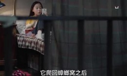 小孩爆料小舅舅视频大全,小孩爆料视频大全