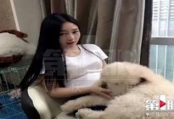 网红狗子张悦吃瓜视频在线观看,带你领略萌宠界的欢乐时光