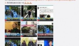 资阳摆摊爆料今日新闻视频,市民爆料，热闹非凡的市井生活