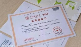 录取通知 在线观看